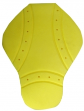 Back Protector